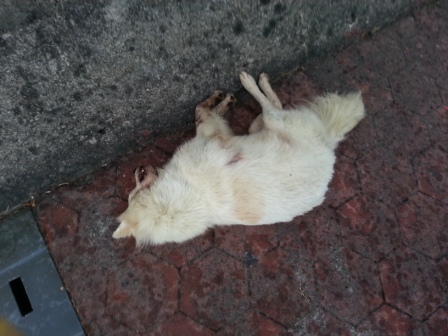 20130921_090054.jpg 20130921_090054.jpg