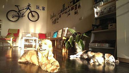 布丁11.jpg 布丁11.jpg