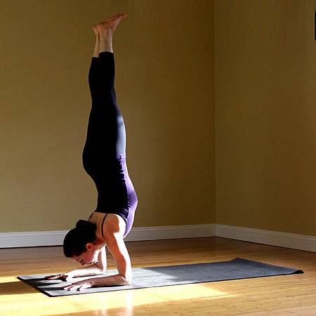 Forearm-Stand-Pose Forearm-Stand-Pose