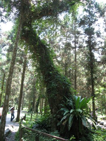 福山植物園