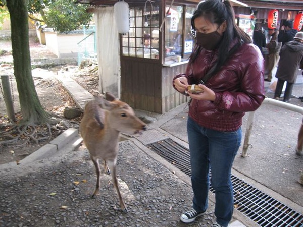 日本關西行