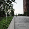 DSC01106_調整大小.JPG