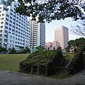 DSC03542_調整大小.JPG