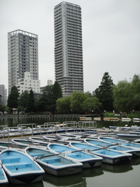 DSC01722_調整大小.JPG