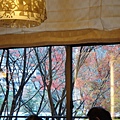 DSC05250_調整大小.JPG