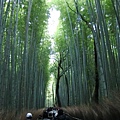 CIMG0797_調整大小.JPG