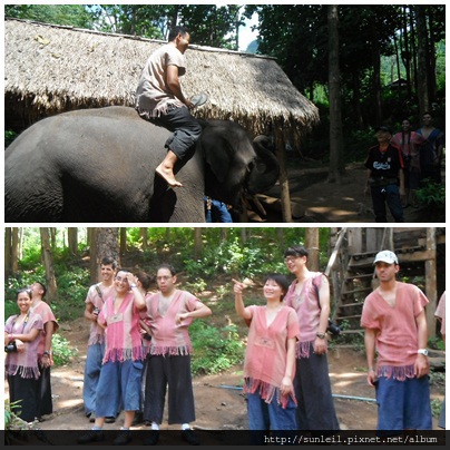 Save the elephants03
