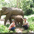 Save the elephants14