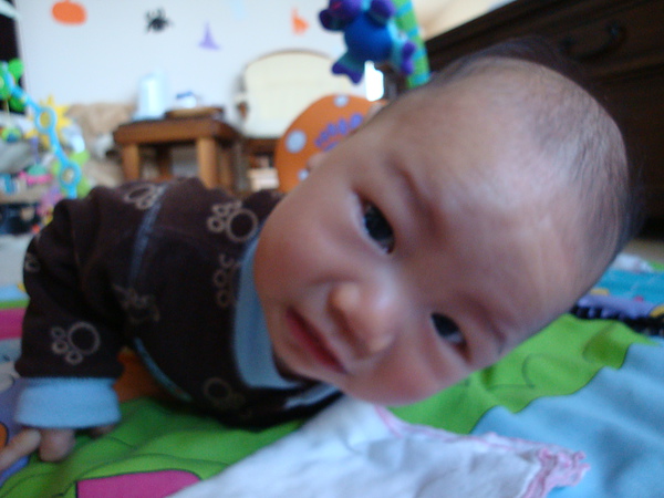 DSC07162.JPG DSC07162.JPG