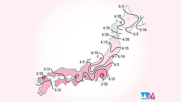 sakura_front_800x450.png