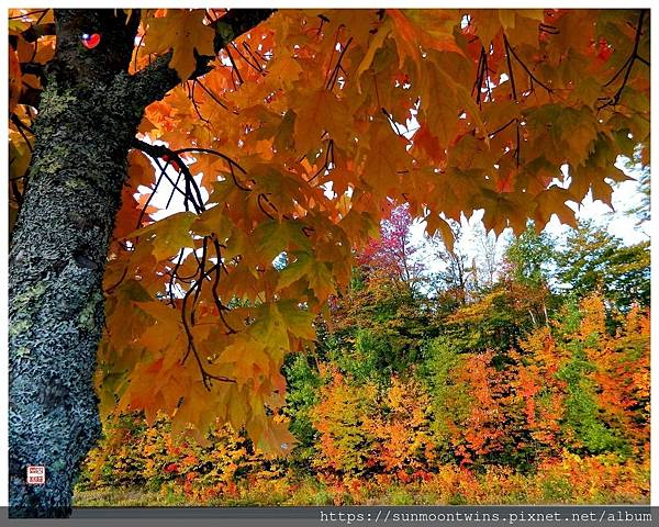 DSCN5231.JPG DSCN5231.JPG