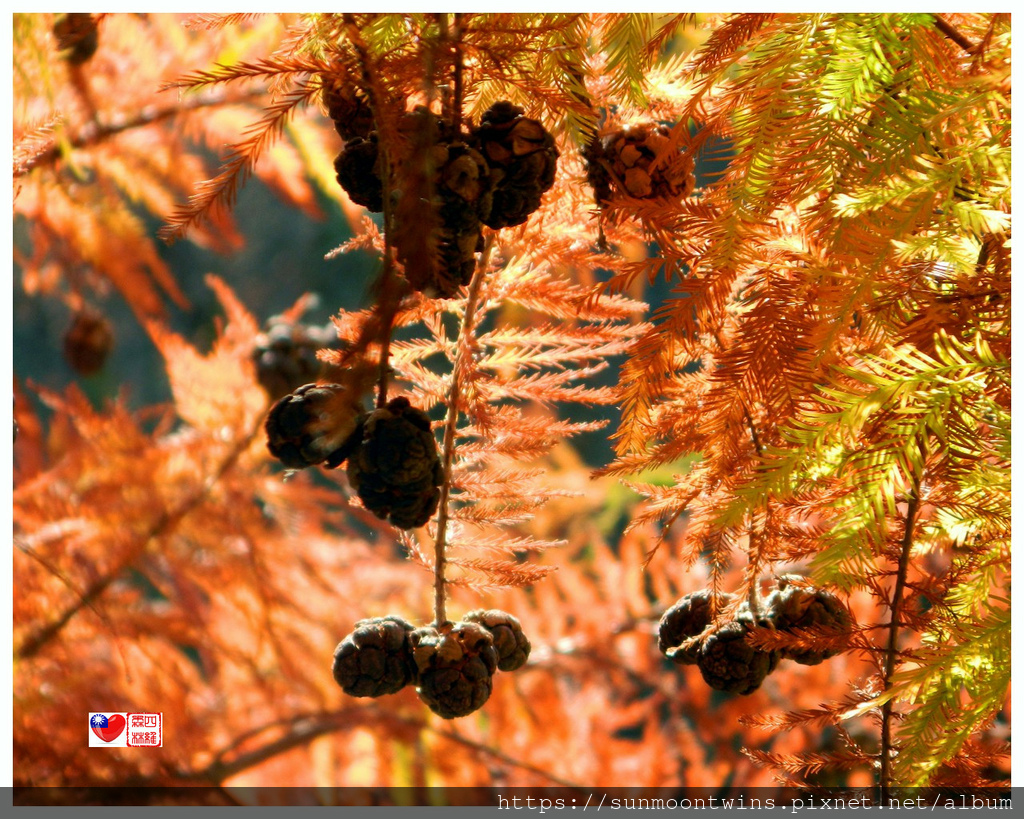 DSCN0002.JPG DSCN0002.JPG