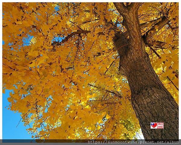 20241202_125147.jpg 20241202_125147.jpg