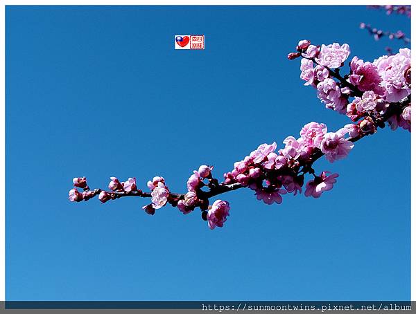 DSC07151.JPG DSC07151.JPG