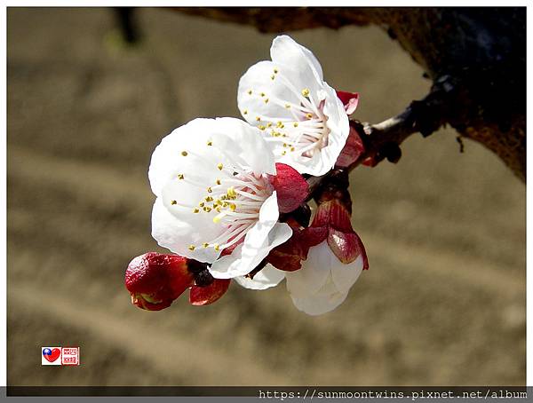 DSC03346.JPG DSC03346.JPG