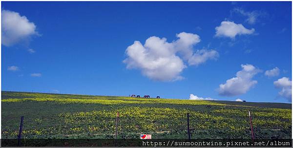萬紫千紅述春分 萬紫千紅述春分