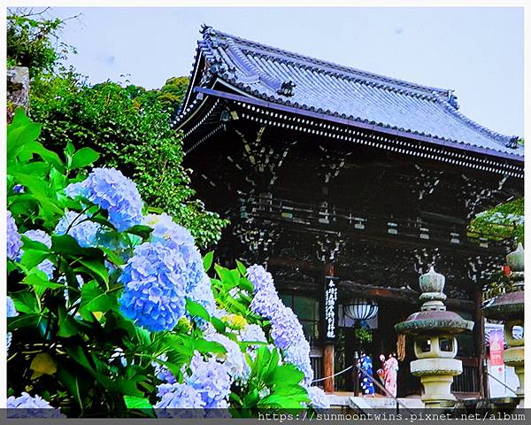 DSCN2367.JPG DSCN2367.JPG