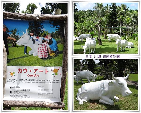 16 日本沖繩東南植物園 彩色人生的部落格 痞客邦 16 日本沖繩東南植物園 彩色人生的部落格 痞客邦