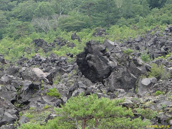 群馬 鬼押出園 (43).JPG