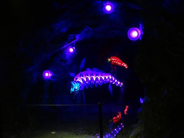 23光明洞窟.JPG