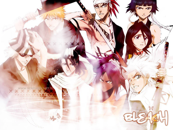 bleach%20group%205.jpg