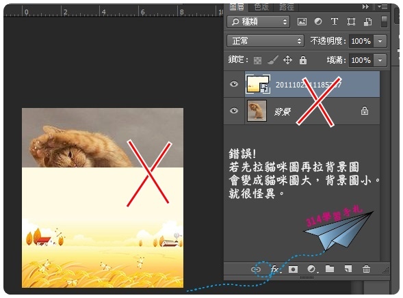 貓咪去背-錯誤1.jpg 貓咪去背-錯誤1.jpg
