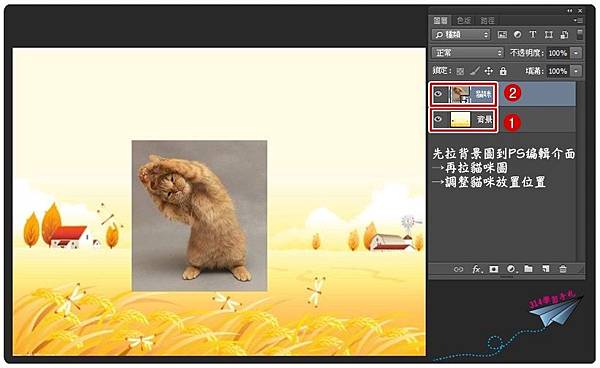 貓咪去背-1.jpg 貓咪去背-1.jpg