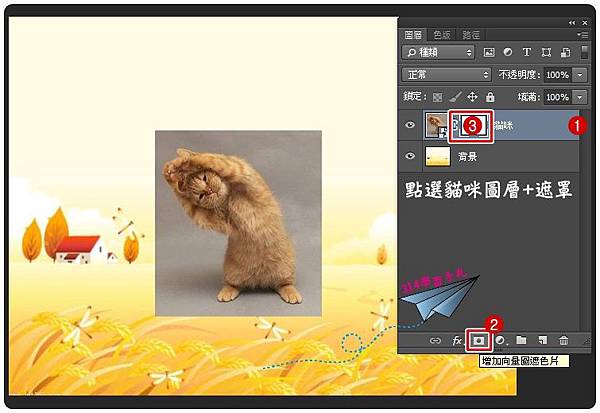 貓咪去背-2.jpg 貓咪去背-2.jpg