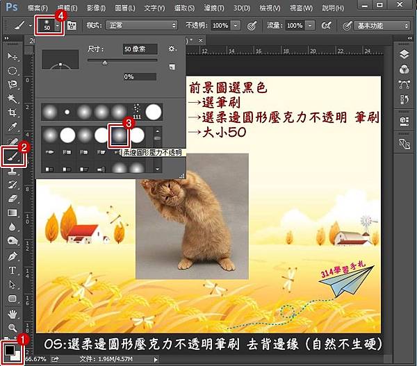 貓咪去背-3.jpg 貓咪去背-3.jpg