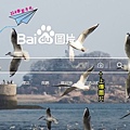 以圖搜圖-baidu.jpg