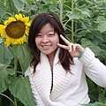 sunny flower.jpg