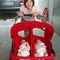 雙Baby推車正式啟用-載小寶和表哥啦-1.jpg