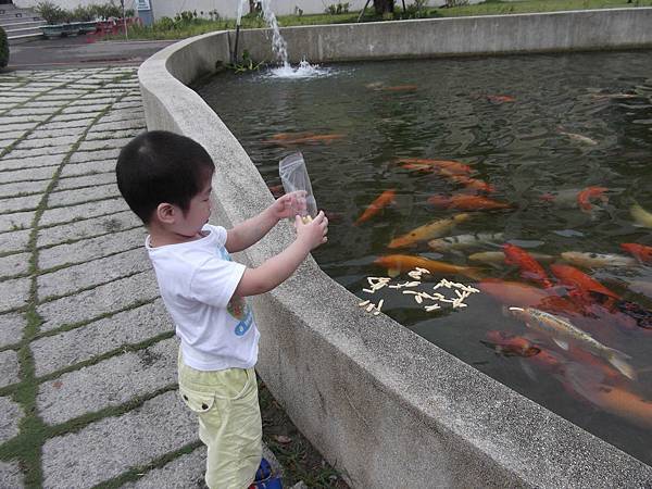 來亞洲大學餵魚.jpg