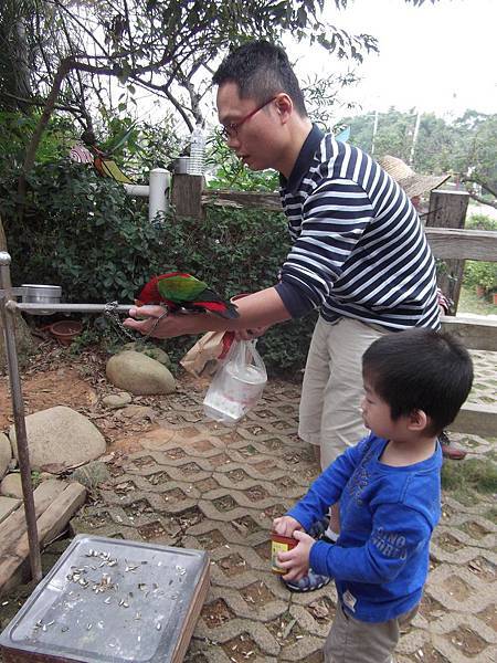 把拔先示範怎麼餵