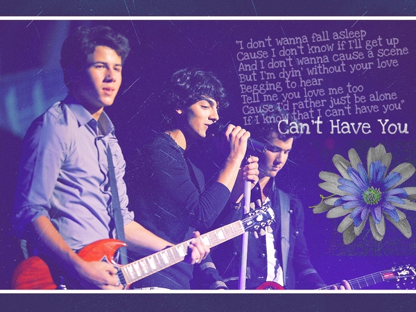 Jonas-Brothers-Wallpaper-the-jonas-brothers-8893799-1024-768.jpg