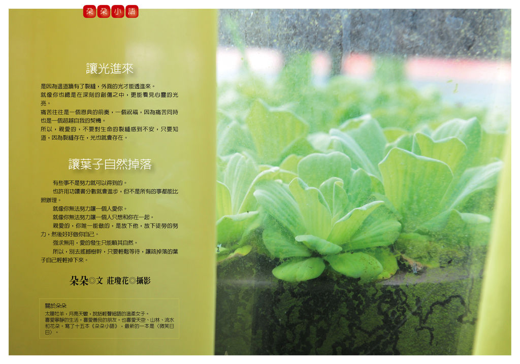 709朵朵小語 709朵朵小語