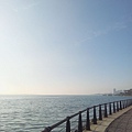 20120213_155934.jpg