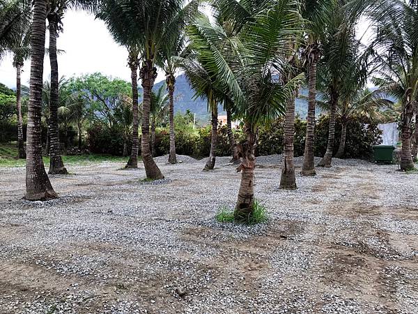 【台東海邊豪華懶人露營住宿推薦】台東私房景點拉法鋼琴咖啡屋l