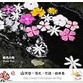 16.晴天小熊-山芙蓉-隱匿山城中的秘密花園