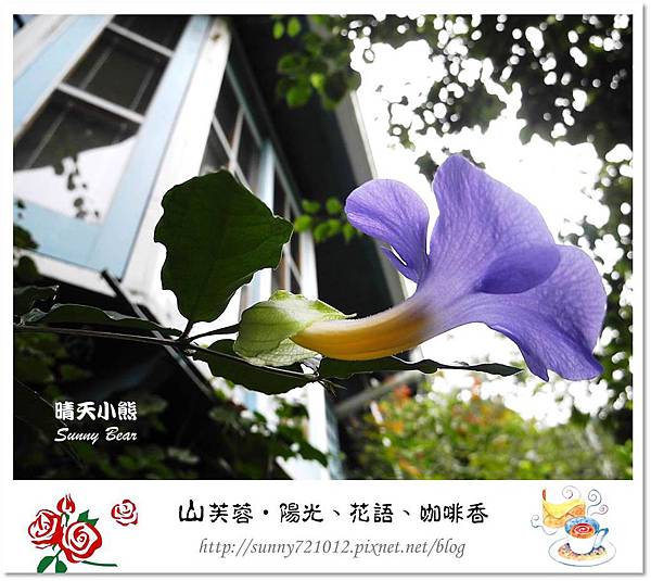 44.晴天小熊-山芙蓉-隱匿山城中的秘密花園