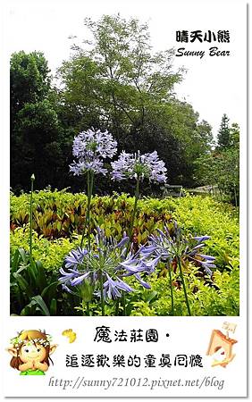 9.晴天小熊-魔法莊園-追逐歡樂的童真回憶