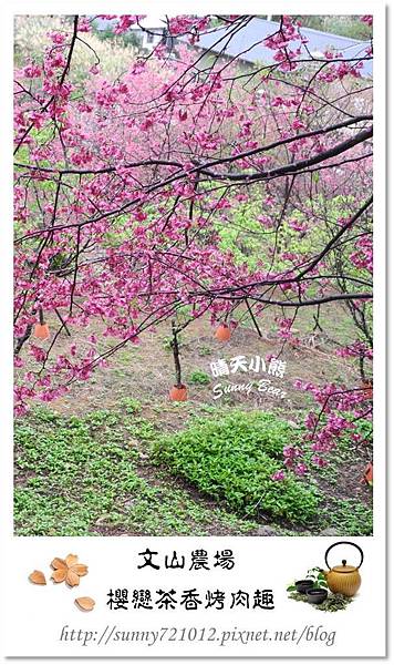 83.晴天小熊-文山農場-櫻戀茶香烤肉趣