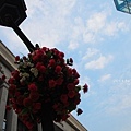 20111115-35.jpg