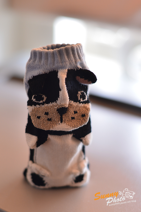 DSC_0004.JPG DSC_0004.JPG