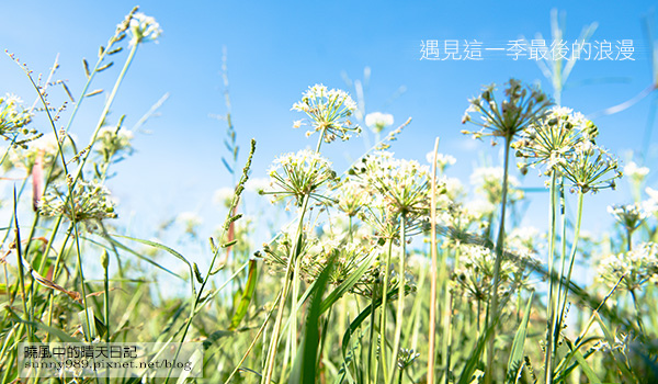 刊頭-1409121.jpg 刊頭-1409121.jpg