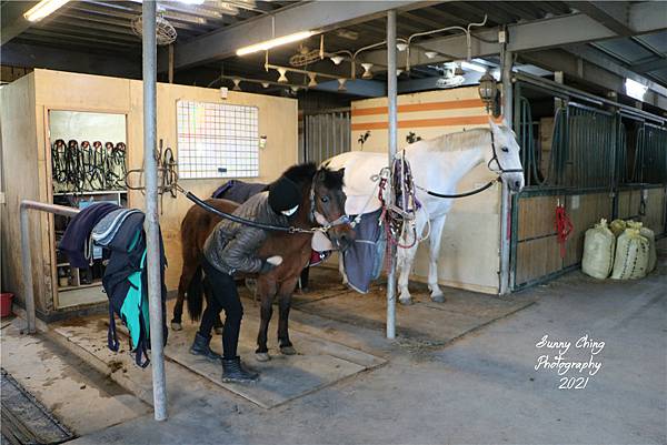 親子體驗 新竹縣新埔鎮馬場 Da Ri Horse 大日馬術文創園區 新竹馬場 馬術課輕體驗 專業教練一對一 輕鬆體驗馬背平衡 桑妮晴的日常紀錄 女攝影師桑妮晴的攝影紀錄 桑妮晴的體驗紀錄 (6).jpg