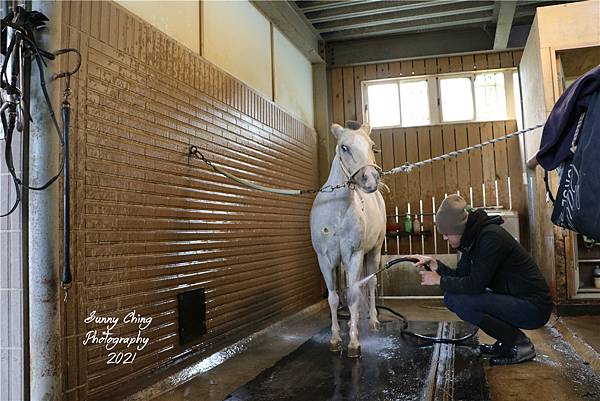 親子體驗 新竹縣新埔鎮馬場 Da Ri Horse 大日馬術文創園區 新竹馬場 馬術課輕體驗 專業教練一對一 輕鬆體驗馬背平衡 桑妮晴的日常紀錄 女攝影師桑妮晴的攝影紀錄 桑妮晴的體驗紀錄 (補).jpg