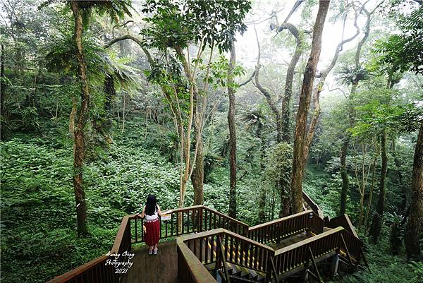 住宿 南投縣鹿谷鄉 蟬說鳳凰亭序 森旅 Chan Shuo 綠建築木屋住宿， 一泊二食 精緻Buffet，住在森林小木屋中、享用唯美玻璃屋裡的餐食(文末有訂房優惠) 桑妮晴的日常紀錄 女攝影師桑妮晴的攝影紀錄  (12).jpg