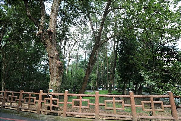 住宿體驗 南投縣信義鄉 蟬說和社山林Forestville  森林系住宿，一泊二食 ，白日欣賞山景，晚上享用中西日的桌袱料理 桑妮晴的日常紀錄 (3).jpg