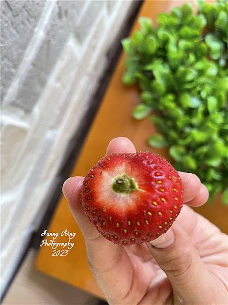 【食譜居家料理】古早味糖葫蘆#1，自製草莓糖葫蘆，試試看用二號砂糖來製作 桑妮晴的日常紀錄  草莓 (2).jpg